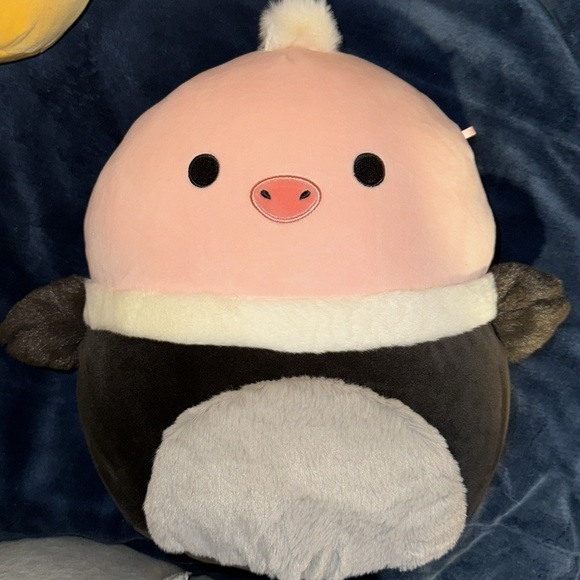 Squishmallows | Toys | Agnes Rose The Ostrich Select Series ...